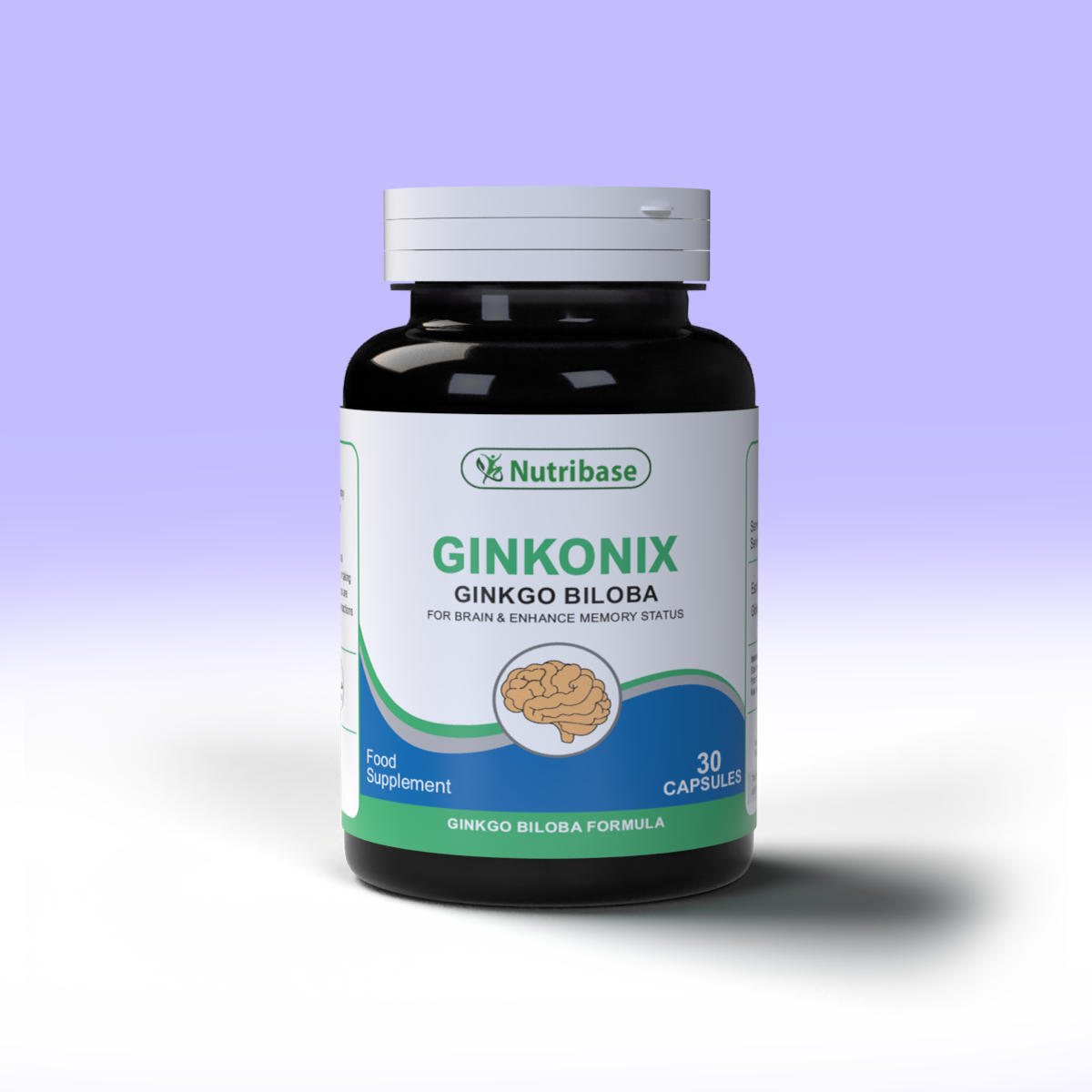 GINKONIX