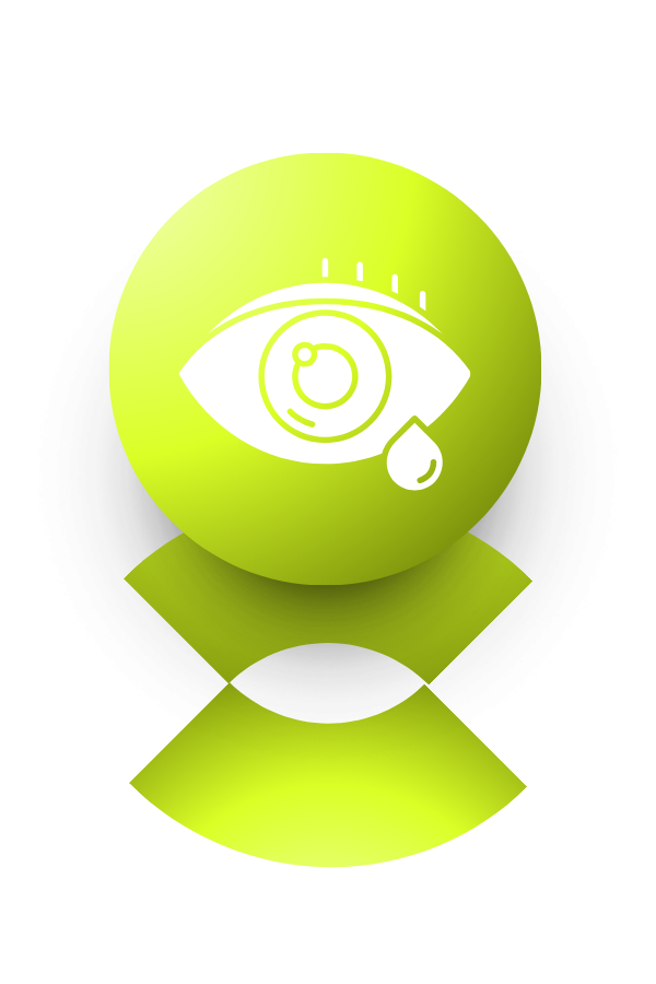 Vision Support